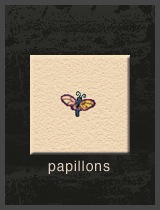 icobookpapillon