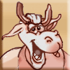 vache5