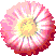 bouton1