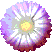 bouton4