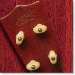 martin_5K_pegs.jpg