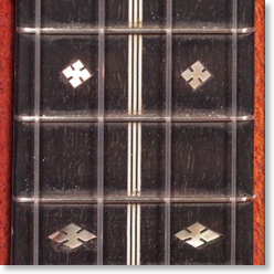 pearl_fretboard.jpg