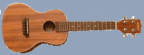 ukulele_concert