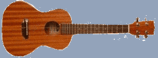 ukulele_tenor